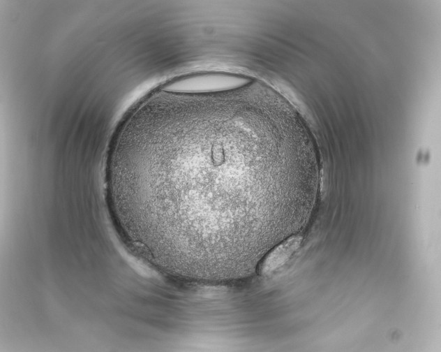 X0000090440438200708102030