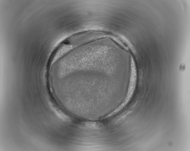 X0000090440439200708102030