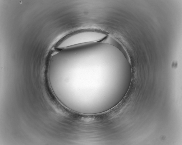 X0000090440440200708102030