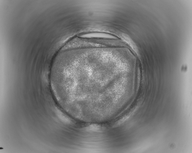 X0000090440441200708102031