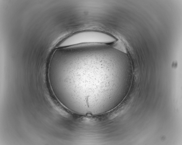X0000090440442200708102031