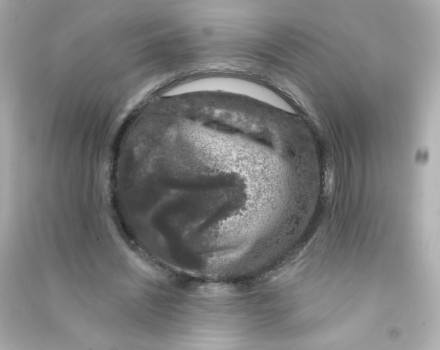 X0000090440444200708102031