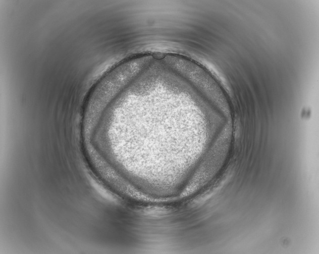 X0000090440445200708102031