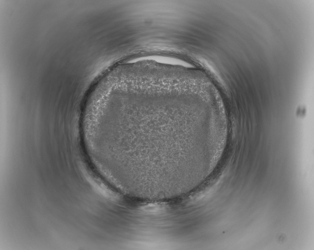 X0000090440447200708102031