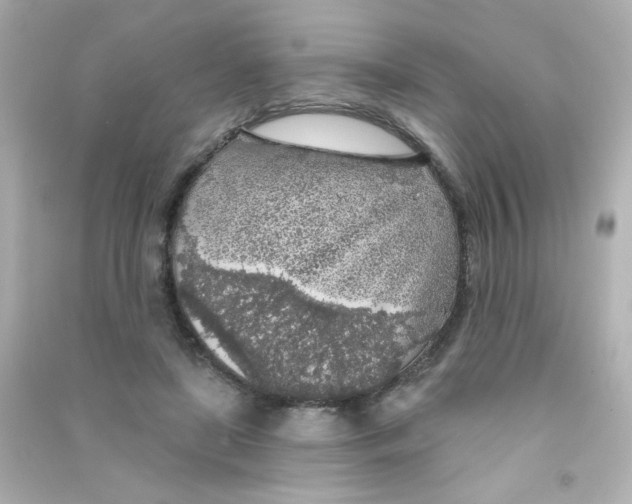 X0000090440451200708102031