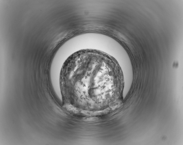 X0000090440452200708102031