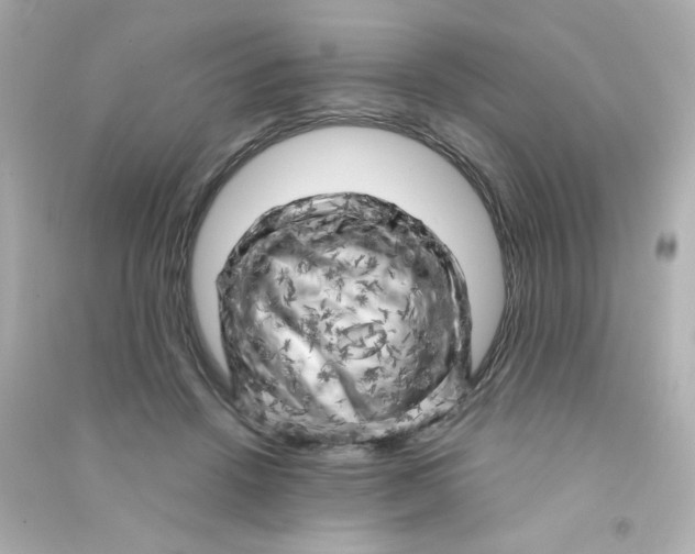 X0000090440456200708102031