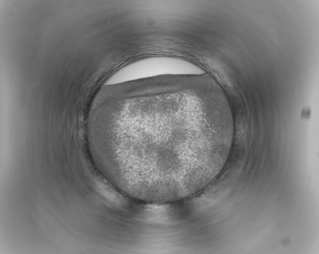 X0000090440457200708102031