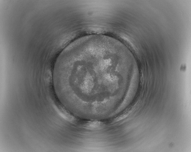 X0000090440459200708102031