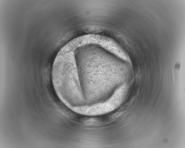 X0000090440460200708102031