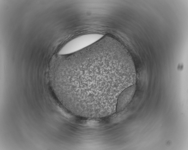 X0000090440462200708102031