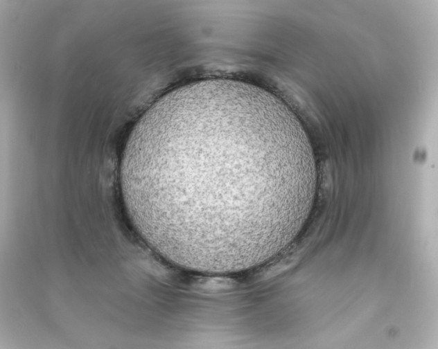 X0000090440463200708102031