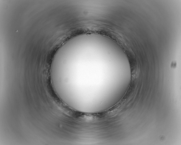 X0000090440464200708102031