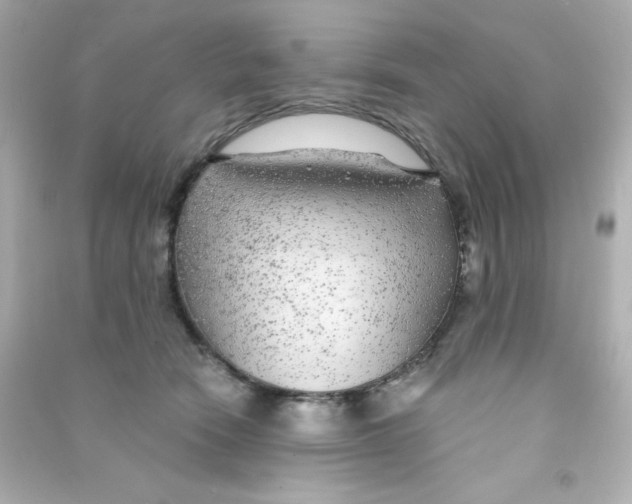 X0000090440466200708102031