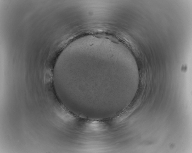 X0000090440467200708102031