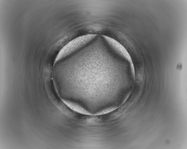 X0000090440468200708102031