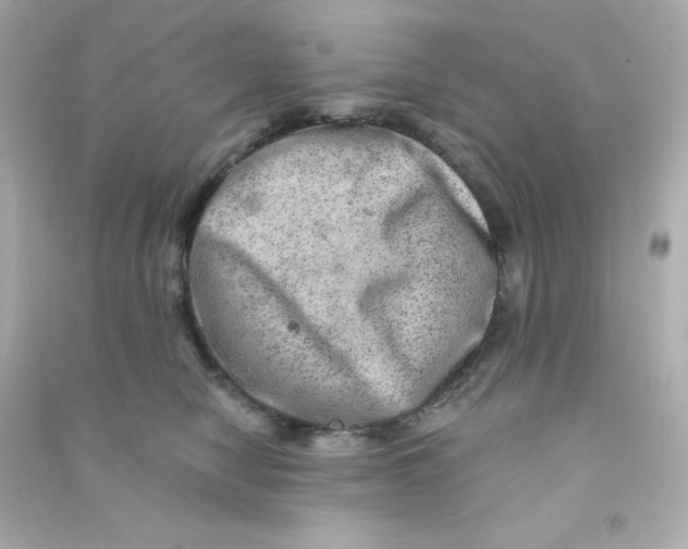 X0000090440470200708102031