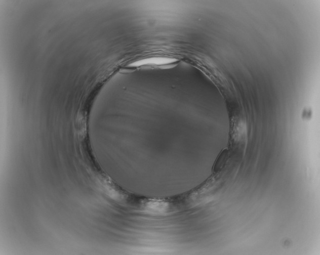 X0000090440471200708102031