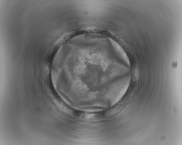 X0000090440472200708102031