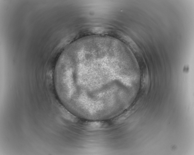 X0000090440473200708102031