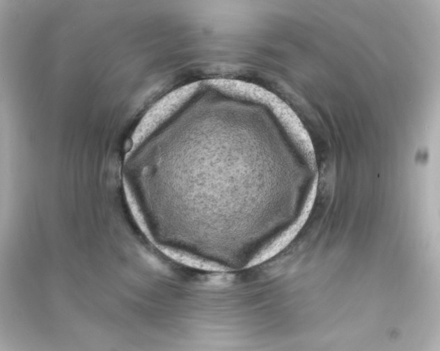 X0000090440474200708102031
