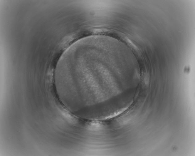 X0000090440475200708102031
