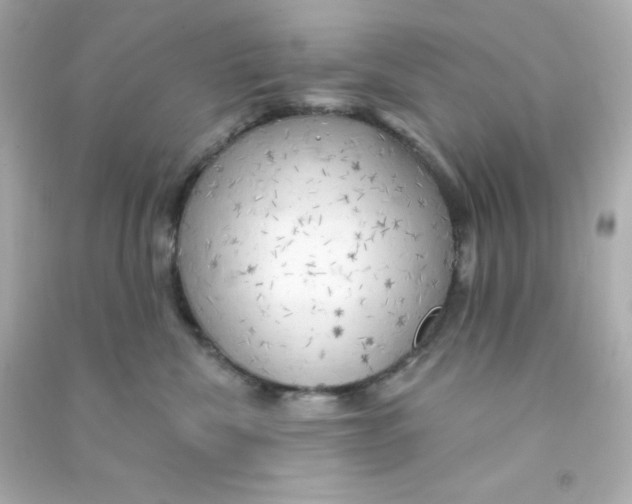 X0000090440476200708102031