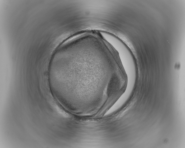 X0000090440481200708102030