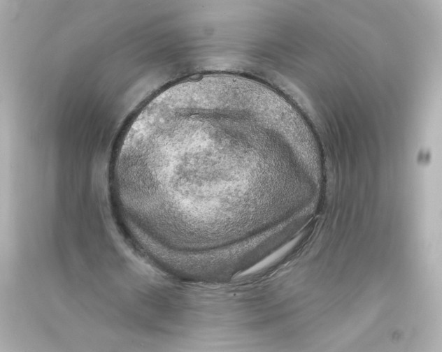 X0000090440482200708102030