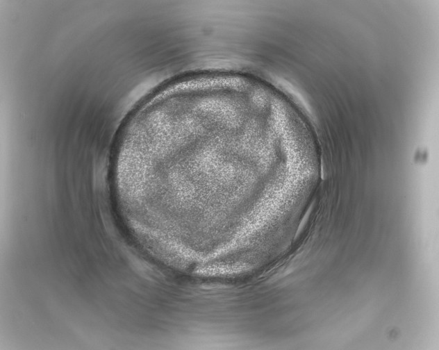 X0000090440483200708102030