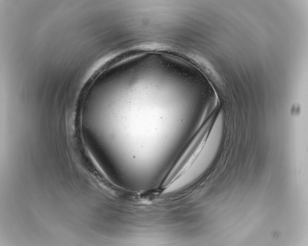 X0000090440484200708102030