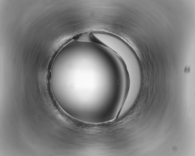 X0000090440485200708102030