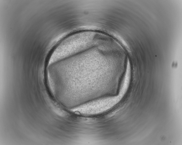 X0000090440486200708102030