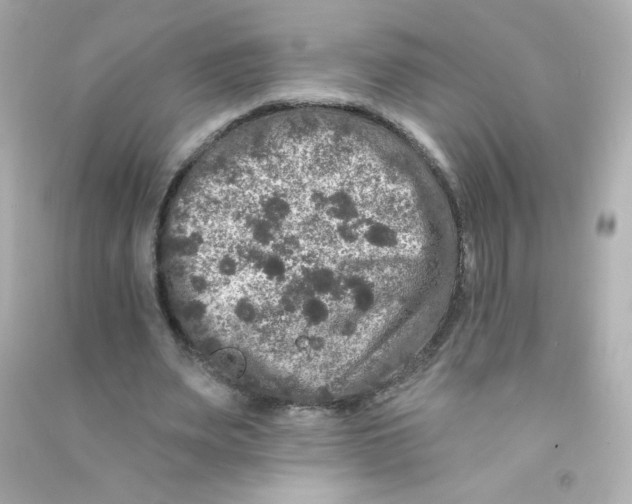 X0000090440487200708102030
