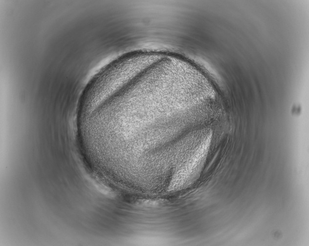 X0000090440488200708102030