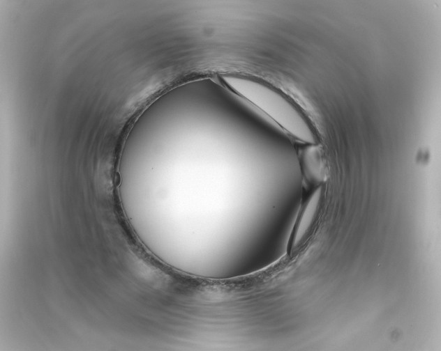 X0000090440489200708102030