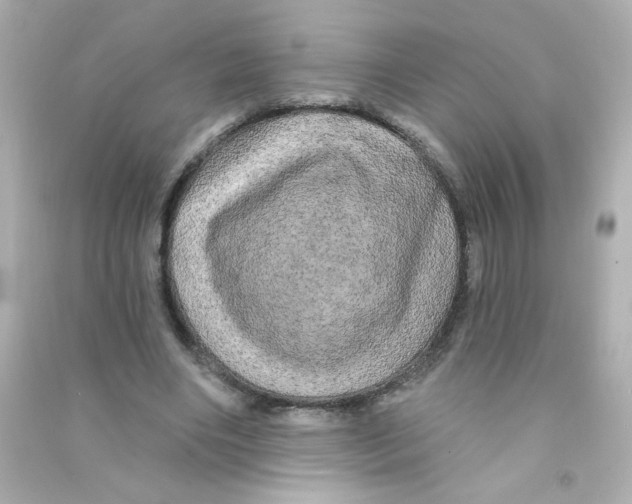 X0000090440490200708102030