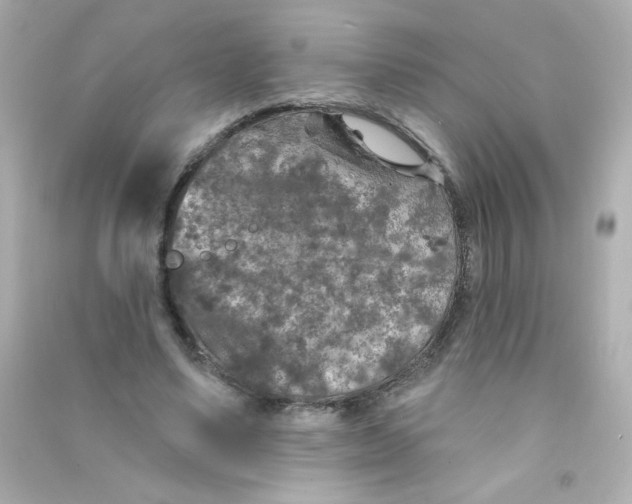 X0000090440491200708102030