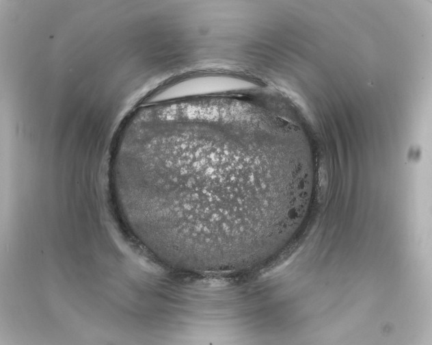 X0000090440492200708102030