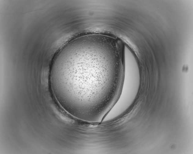 X0000090440493200708102030