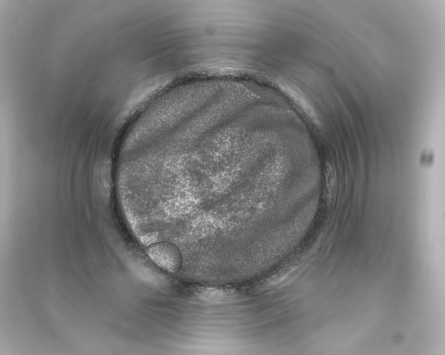 X0000090440494200708102030