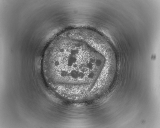 X0000090440495200708102030