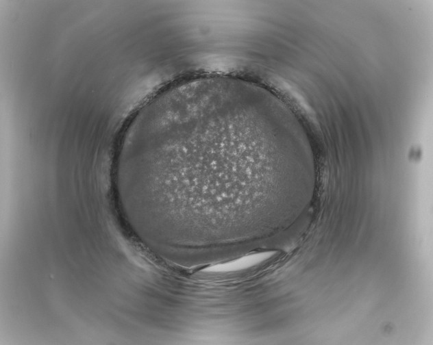 X0000090440496200708102030