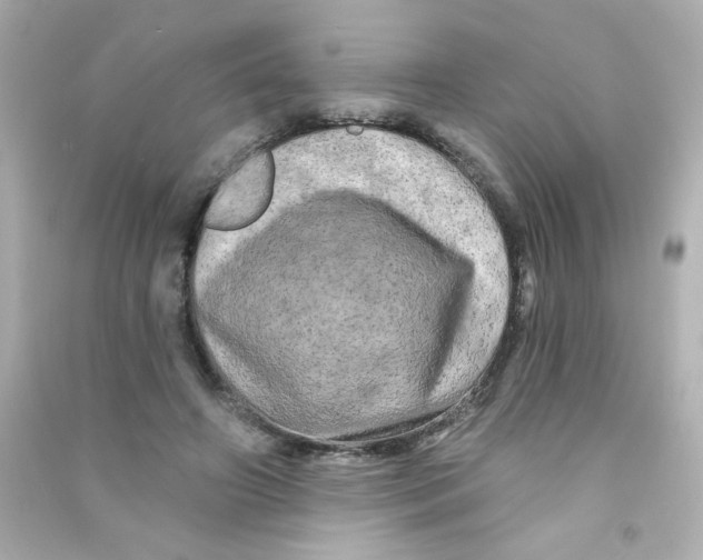 X0000090440498200708102030