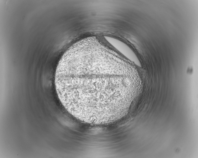 X0000090440499200708102030