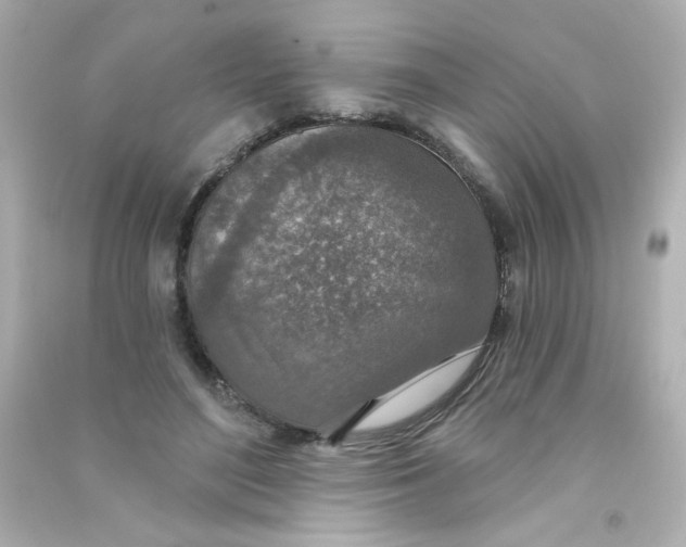 X0000090440500200708102030