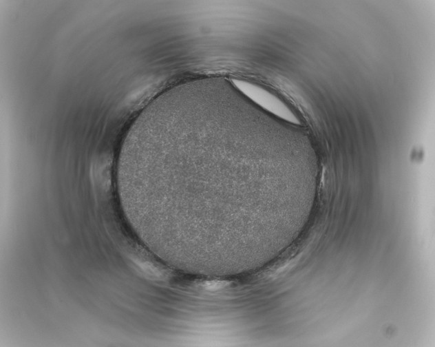X0000090440501200708102030