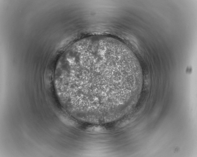 X0000090440503200708102030