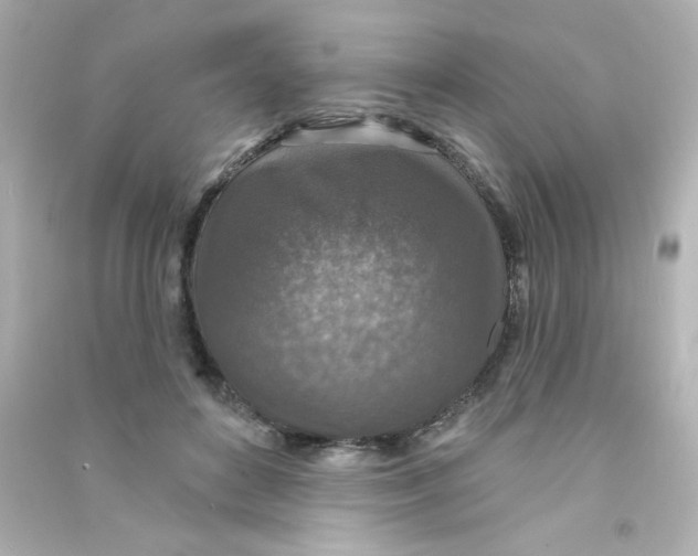 X0000090440504200708102030