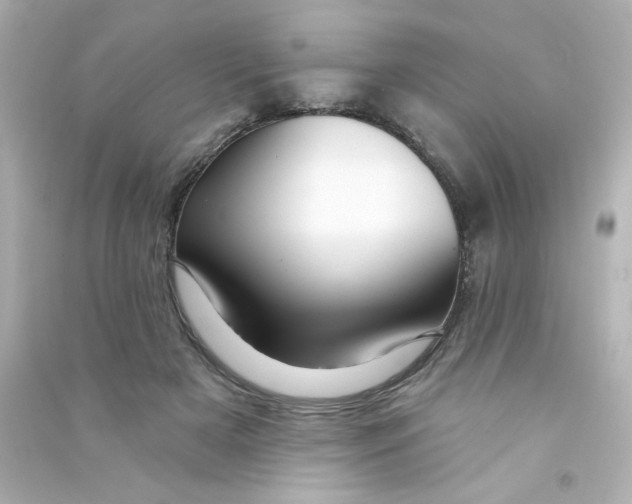 X0000090440505200708102030
